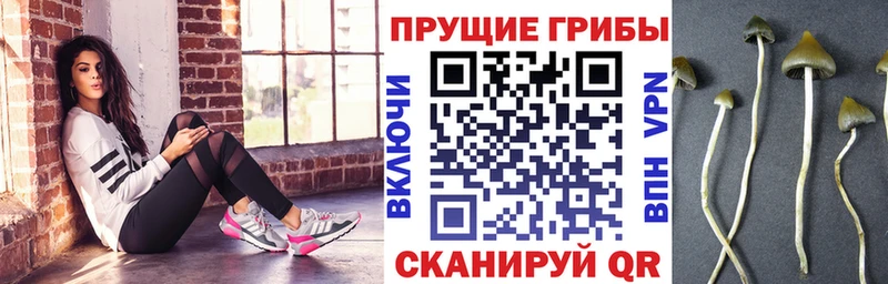 Галлюциногенные грибы мухоморы  Янаул 